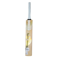 SG Sunny Legend English Willow Cricket Bat - Best Price online Prokicksports.com