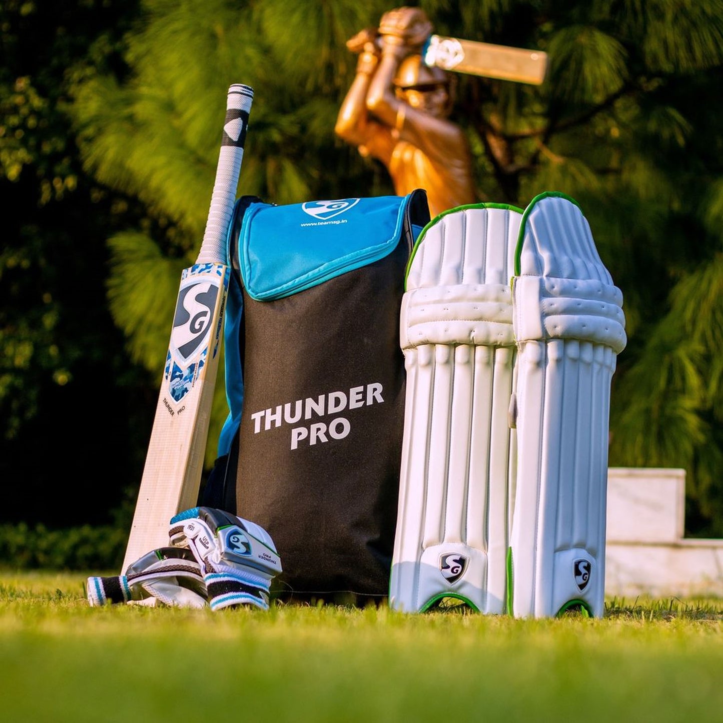 SG Thunder Pro Kashmir Willow Cricket Kit - Assorted Color - Best Price online Prokicksports.com