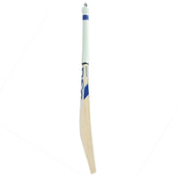DSC Blu 111 English Willow Cricket Bat - Best Price online Prokicksports.com