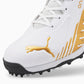 PUMA 22 FH Rubber VK Men's Cricket Shoes - Best Price online Prokicksports.com