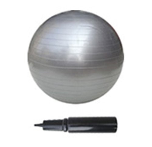 Vector X Gym Ball, 85cm - Best Price online Prokicksports.com