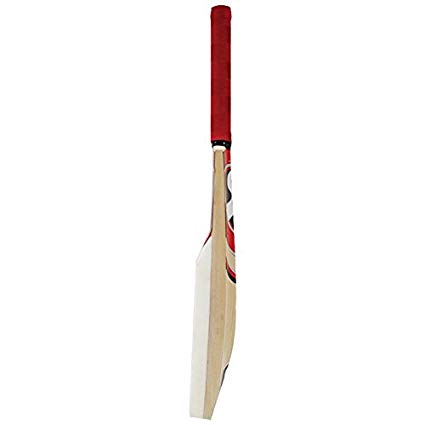 SG Catch Bat