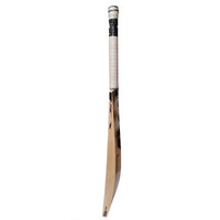 SG Roar Xtreme English Willow Cricket Bat - Best Price online Prokicksports.com
