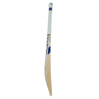 DSC Blu 200 English Willow Cricket Bat - Best Price online Prokicksports.com
