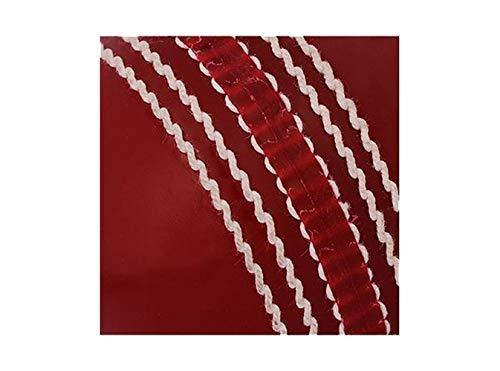 SG Synthetic Cricket Ball - Supasoft, Red