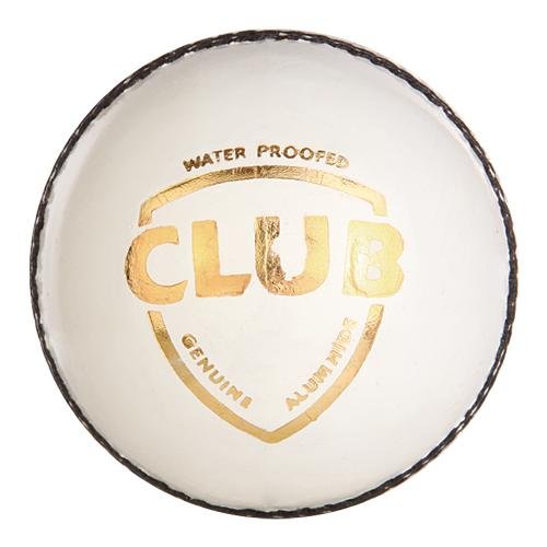 SG Club Leather Ball (White) - Best Price online Prokicksports.com