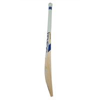 DSC Blu 100 English Willow Cricket Bat - Best Price online Prokicksports.com