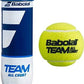 Babolat Team All Court Tennis Balls Carton (24 Cans) - Best Price online Prokicksports.com