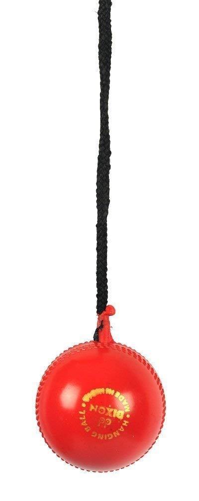 SG iball Ball with Cord - Best Price online Prokicksports.com