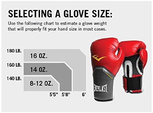 Everlast Powerlock Hook & Loop Training Boxing Gloves (10oz, Black & Gold) - Best Price online Prokicksports.com