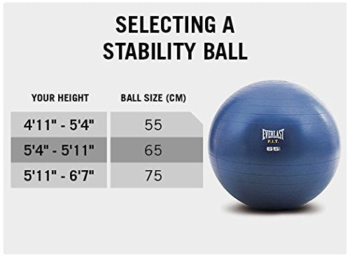 Everlast Gym Ball / Stability Ball (with pump) (55 CM, Purple) - Best Price online Prokicksports.com