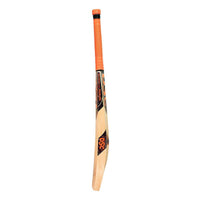 DSC Intense Shoc English Willow Cricket Bat - Best Price online Prokicksports.com