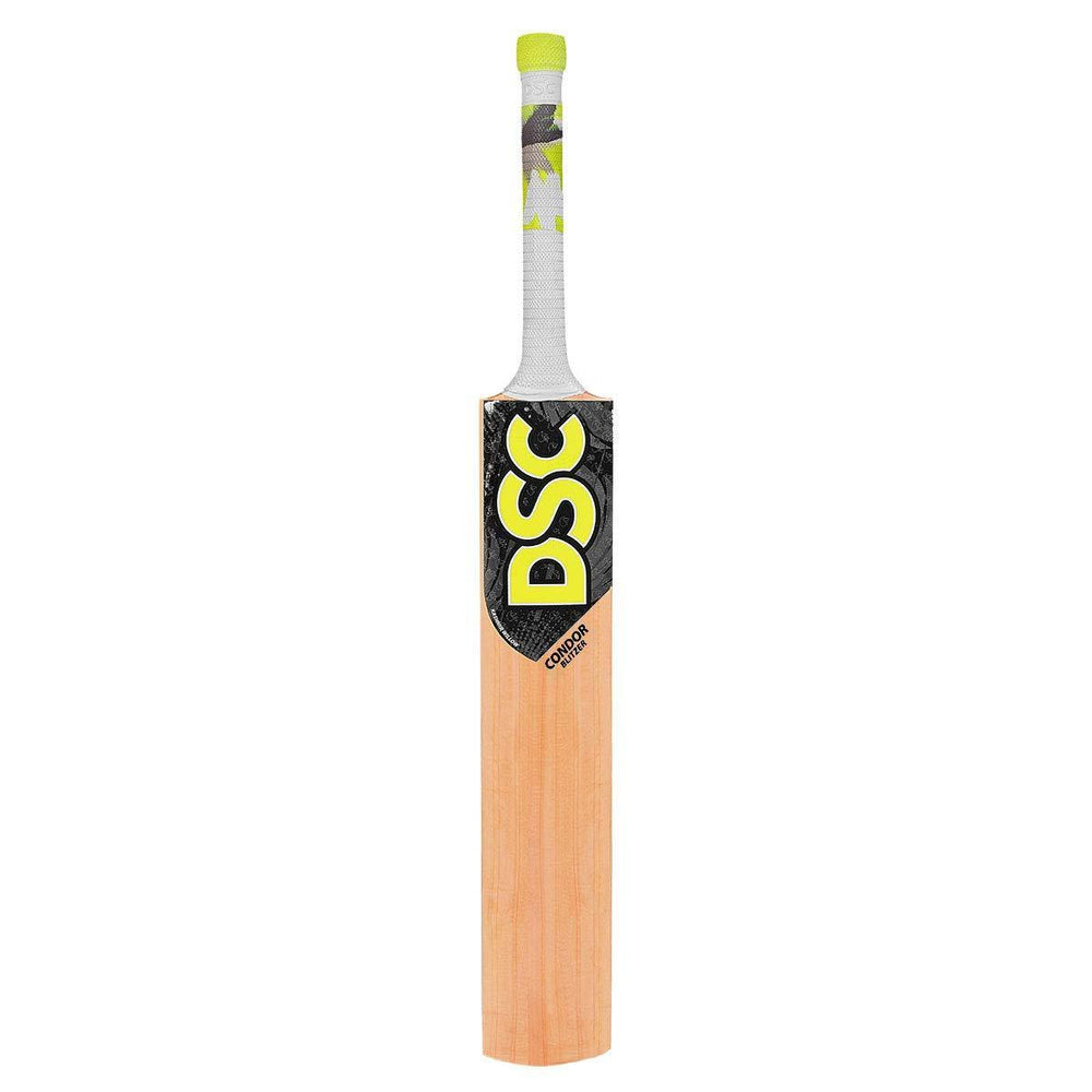 DSC Condor Blitzer Kashmir Willow Cricket Bat - Best Price online Prokicksports.com
