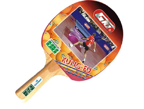 GKI Kung Fu Table Tennis Racquet - Best Price online Prokicksports.com
