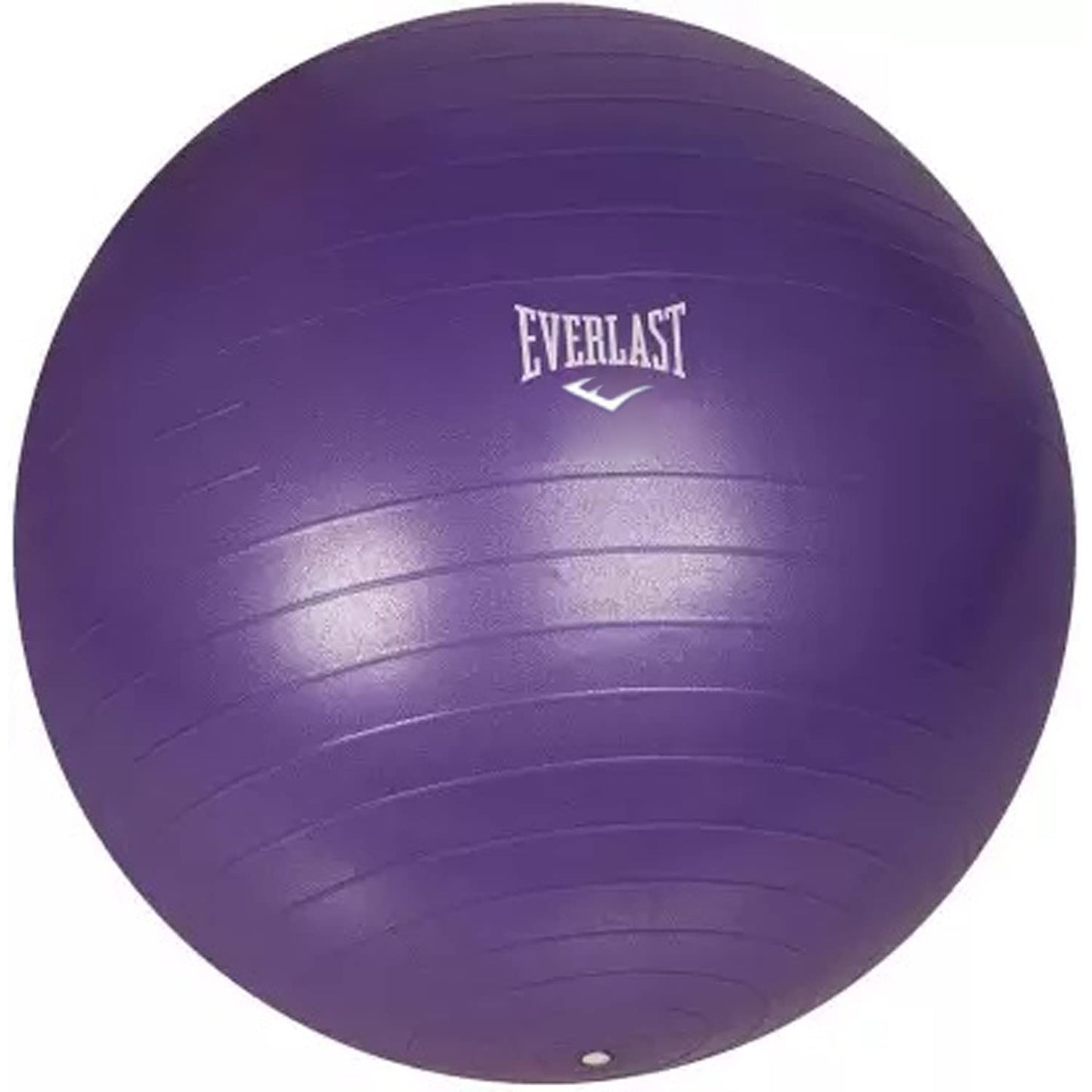 Everlast ELDOM008 55 CM Anti Burst Gymball , Purple - Best Price online Prokicksports.com