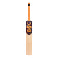 DSC Intense Rage English Willow Cricket Bat - Best Price online Prokicksports.com