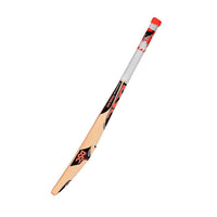 DSC Intense Crush Kashmir Willow Cricket Bat - Best Price online Prokicksports.com