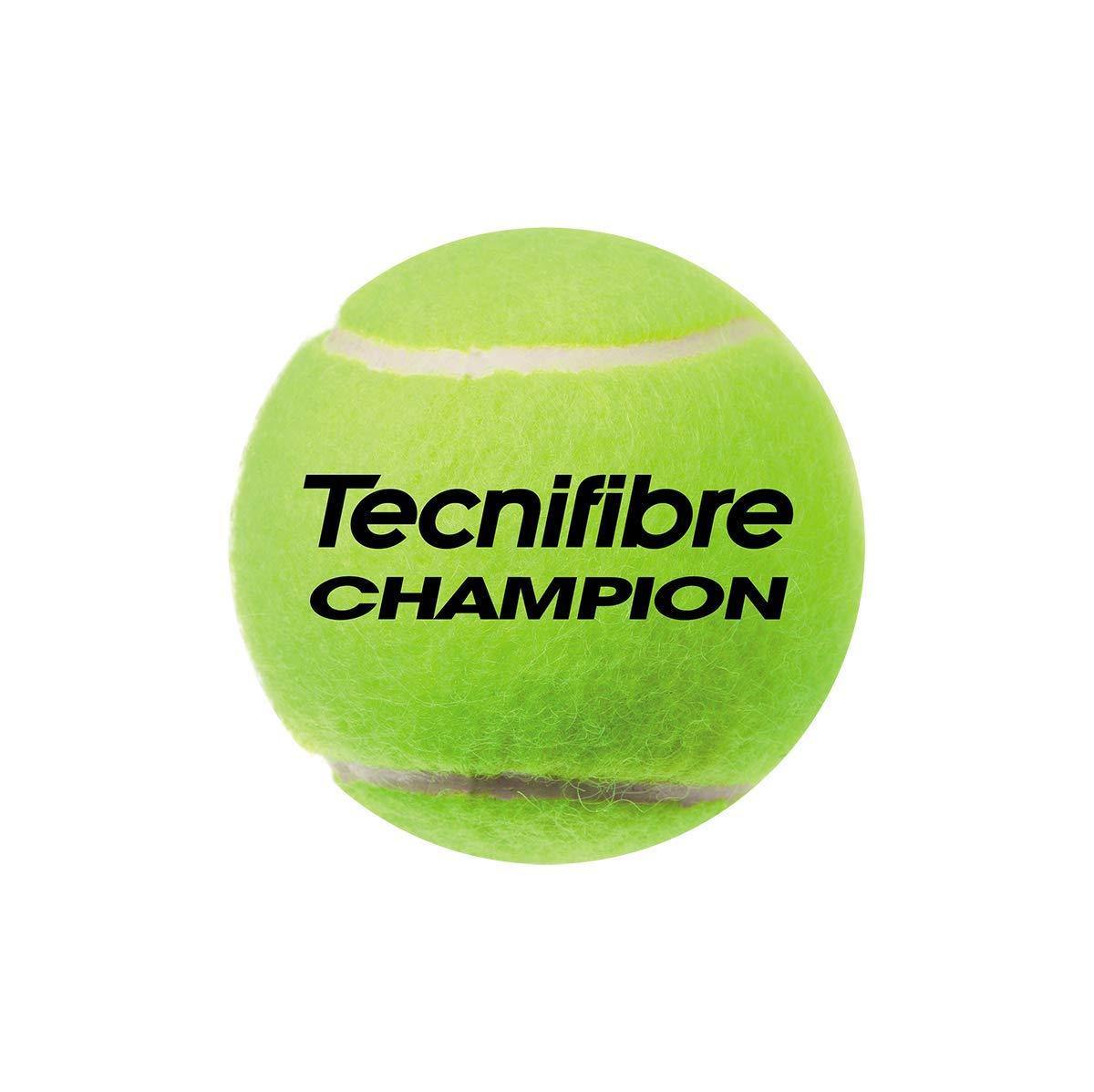 Tecnifibre Champion Balls Can (1 Can) - Best Price online Prokicksports.com