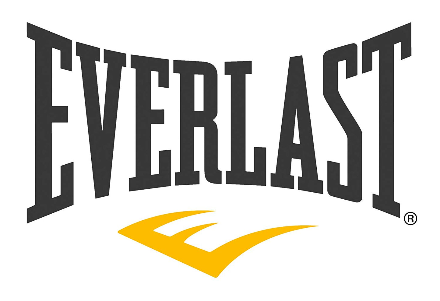 Everlast Polycanvas Heavy Bag Shell (Black) - Best Price online Prokicksports.com