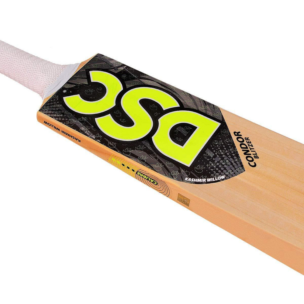 DSC Condor Blitzer Kashmir Willow Cricket Bat - Best Price online Prokicksports.com