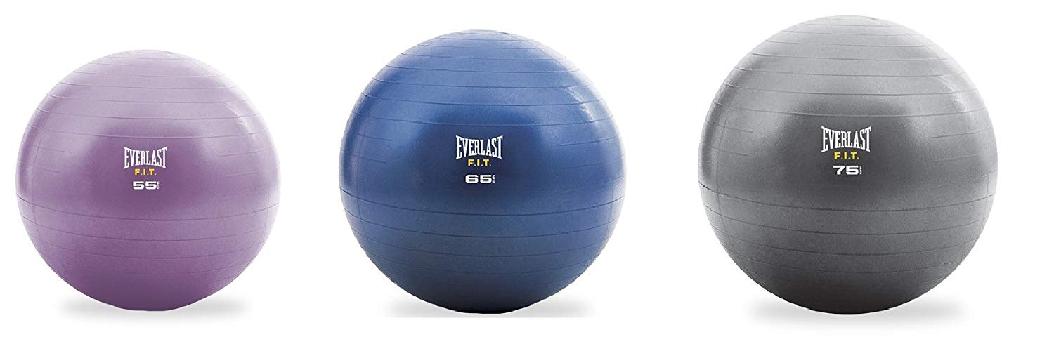 Everlast Gym Ball / Stability Ball (with pump) (55 CM, Purple) - Best Price online Prokicksports.com