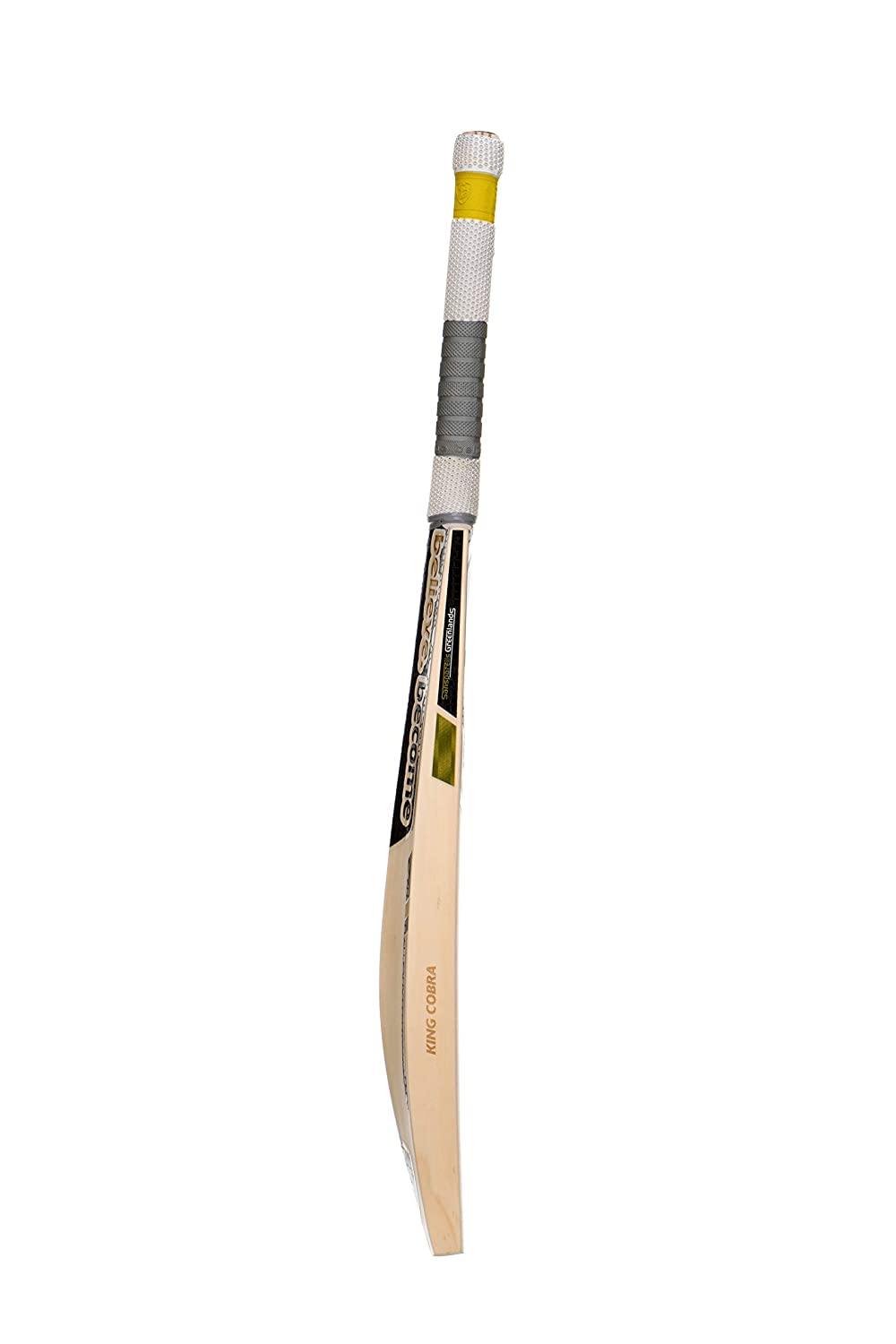 SG King Cobra English Willow Cricket Bat (Color May Vary) - Best Price online Prokicksports.com