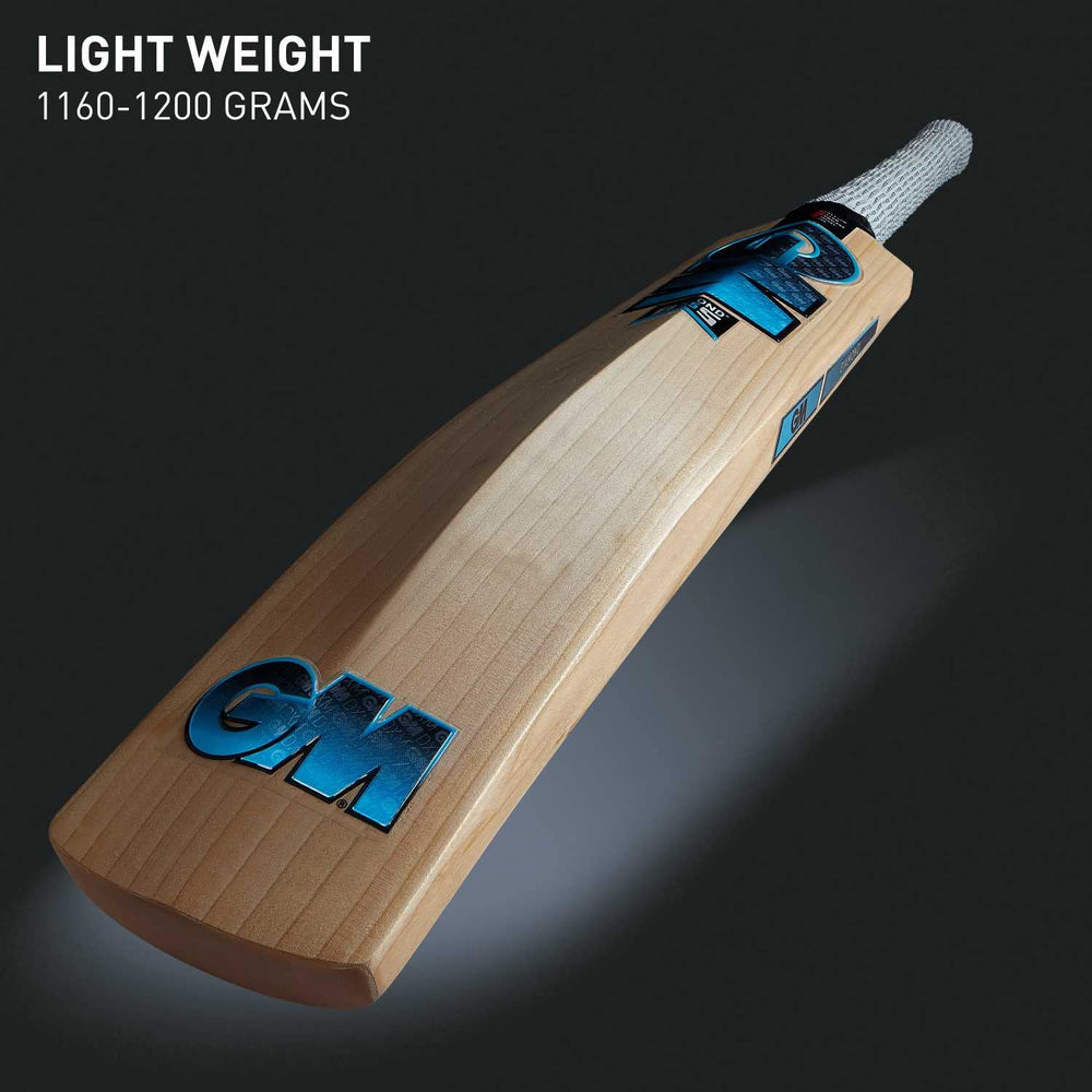 GM Diamond Maxi English Willow Cricket Bat - Best Price online Prokicksports.com