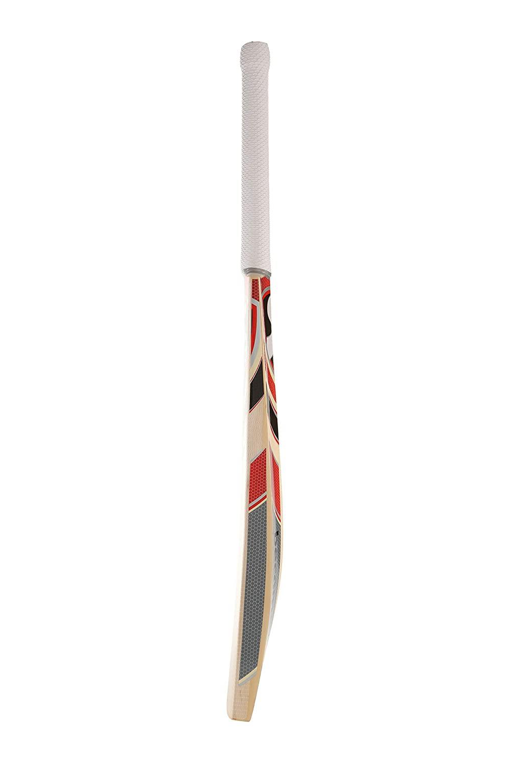 SG Sierra 150 Grade 5 English Willow Cricket Bat - Best Price online Prokicksports.com