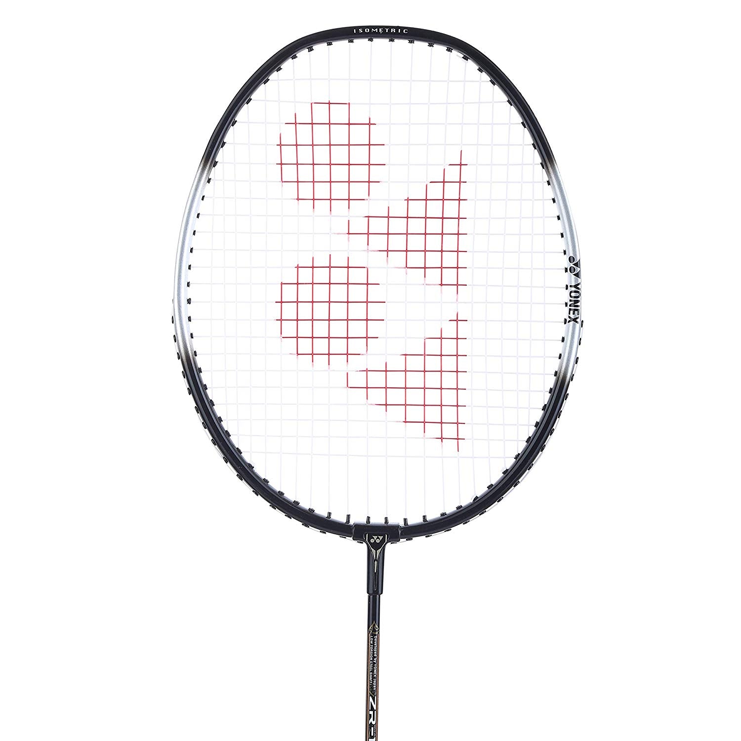 Yonex ZR 100 Light Aluminum Badminton Racquet Strung, Grip Size G4 (Bl