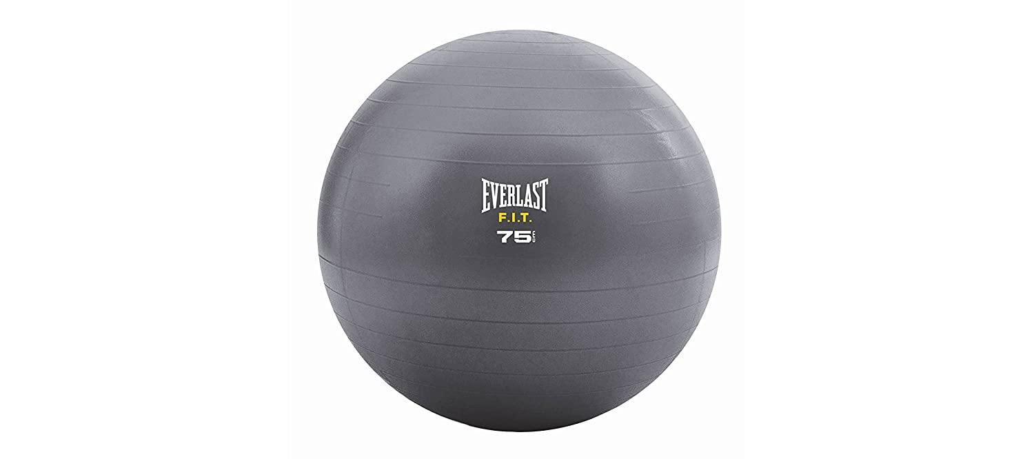 Everlast FIT Stability Gym Ball With Pump - Best Price online Prokicksports.com
