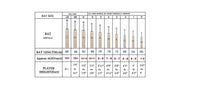 SG Hi-Score Xtreme English Willow Cricket Bat - Best Price online Prokicksports.com