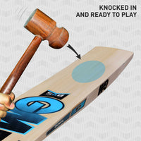 GM Diamond Maxi English Willow Cricket Bat - Best Price online Prokicksports.com