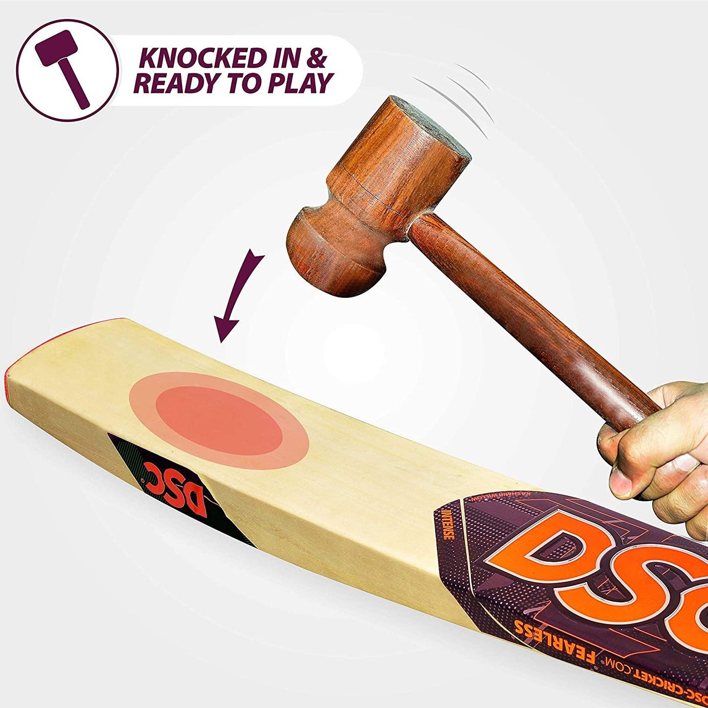 DSC Intense Zeal Kashmir Willow Cricket Bat - Best Price online Prokicksports.com