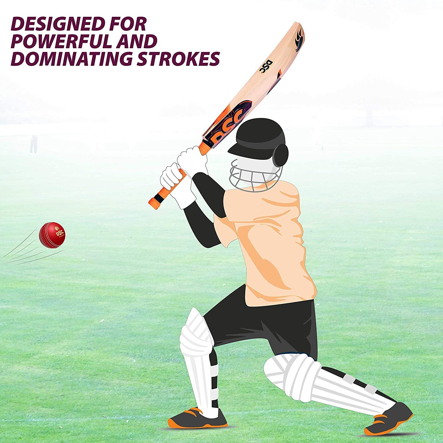 DSC Intense Ferocity English Willow Cricket Bat - Best Price online Prokicksports.com