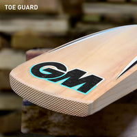 GM Diamond Striker Kashmir Willow Cricket Bat - Best Price online Prokicksports.com