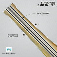 GM Icon Striker Kashmir Willow Cricket Bat - Best Price online Prokicksports.com