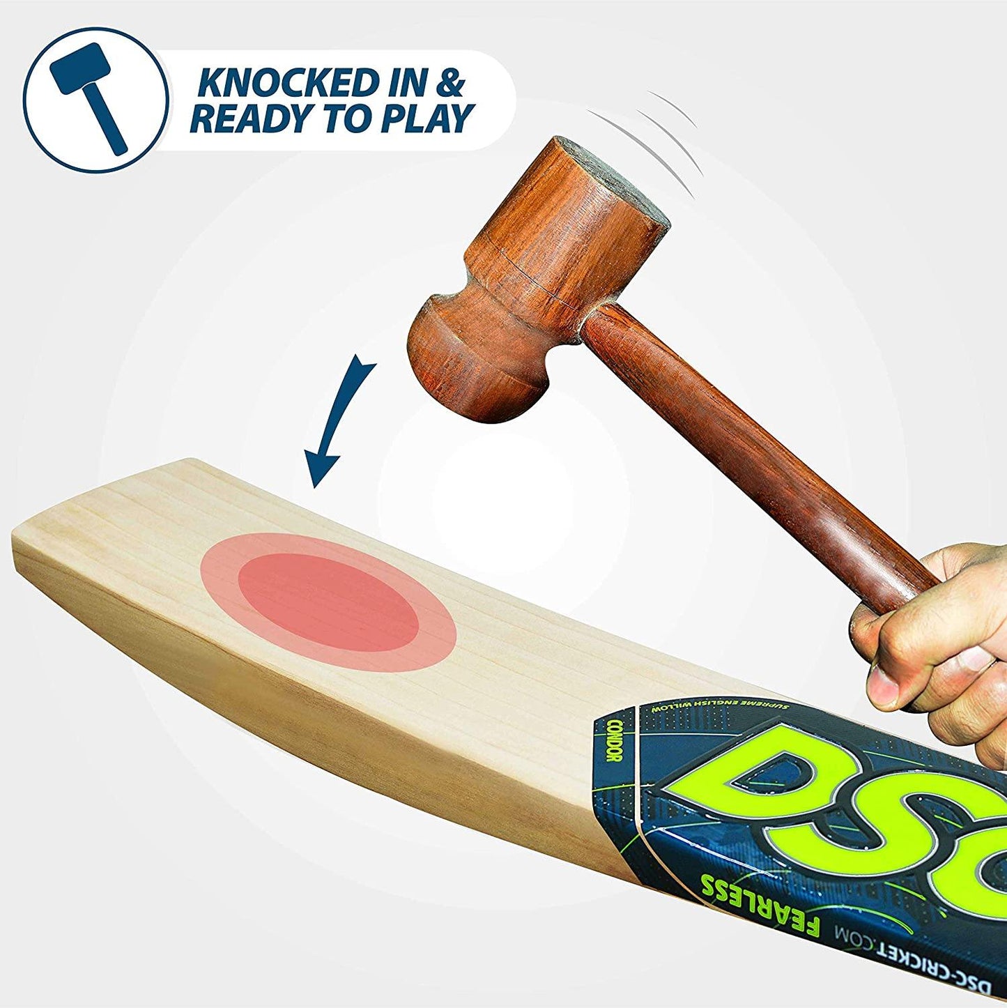 DSC Condor Surge English Willow Cricket Bat - Best Price online Prokicksports.com