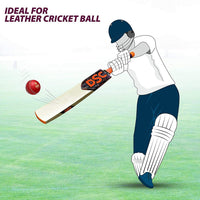 DSC Intense Zeal Kashmir Willow Cricket Bat - Best Price online Prokicksports.com