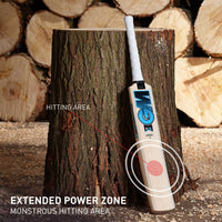 GM Diamond Maxi English Willow Cricket Bat - Best Price online Prokicksports.com