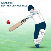 GM Diamond Striker Kashmir Willow Cricket Bat - Best Price online Prokicksports.com