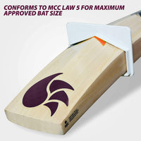 DSC Intense Attitude English Willow Cricket Bat - Best Price online Prokicksports.com