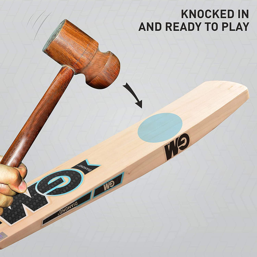 GM Diamond Striker Kashmir Willow Cricket Bat - Best Price online Prokicksports.com