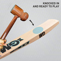 GM Diamond Striker Kashmir Willow Cricket Bat - Best Price online Prokicksports.com