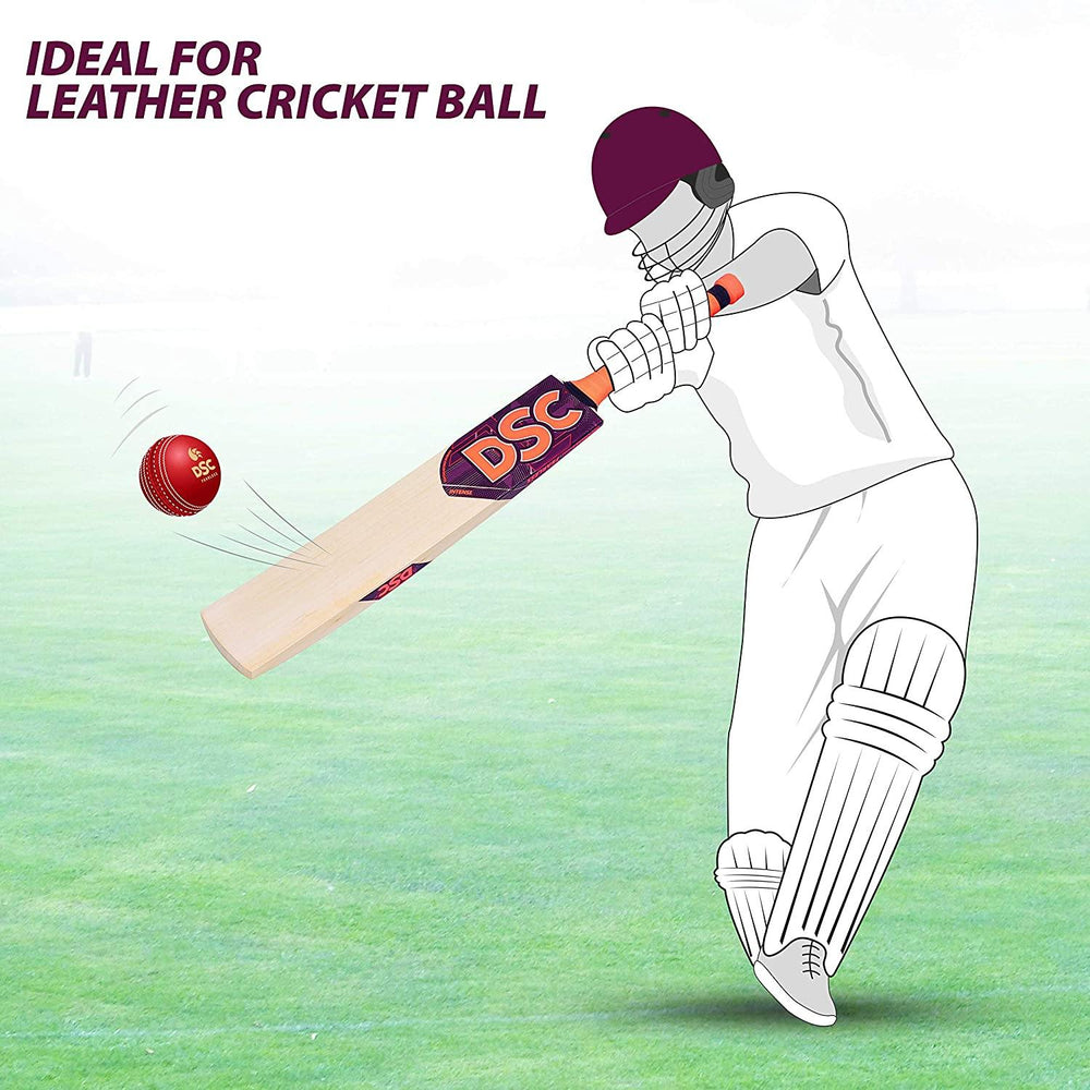DSC Intense Attitude English Willow Cricket Bat - Best Price online Prokicksports.com
