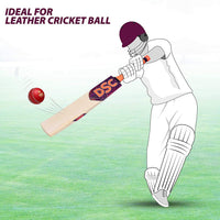 DSC Intense Attitude English Willow Cricket Bat - Best Price online Prokicksports.com
