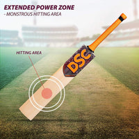 DSC Intense Attitude English Willow Cricket Bat - Best Price online Prokicksports.com