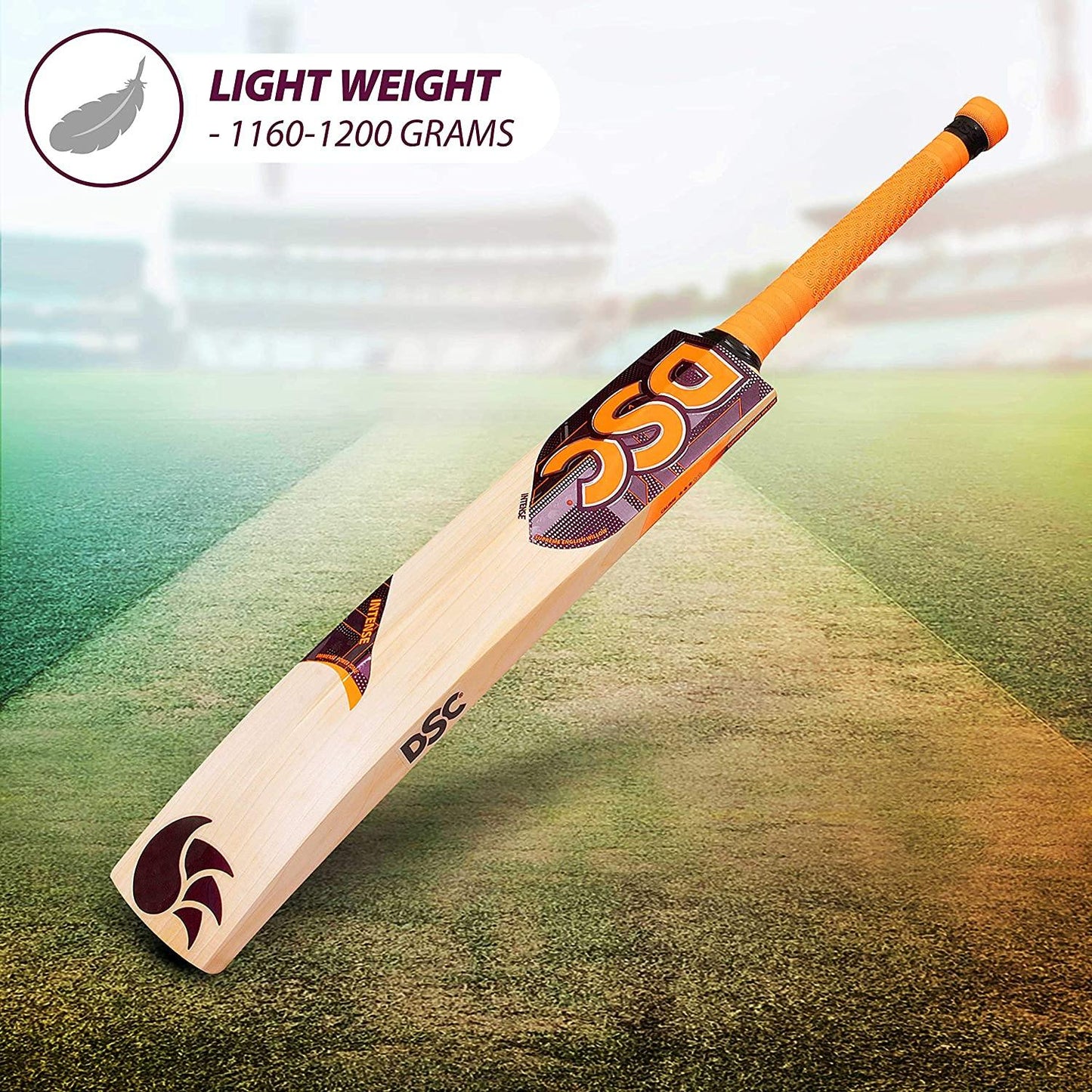 DSC Intense Rage English Willow Cricket Bat - Best Price online Prokicksports.com