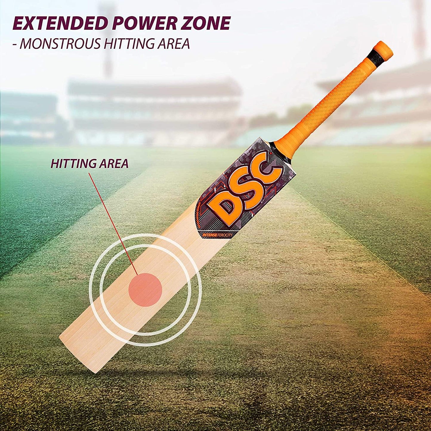 DSC Intense Ferocity English Willow Cricket Bat - Best Price online Prokicksports.com