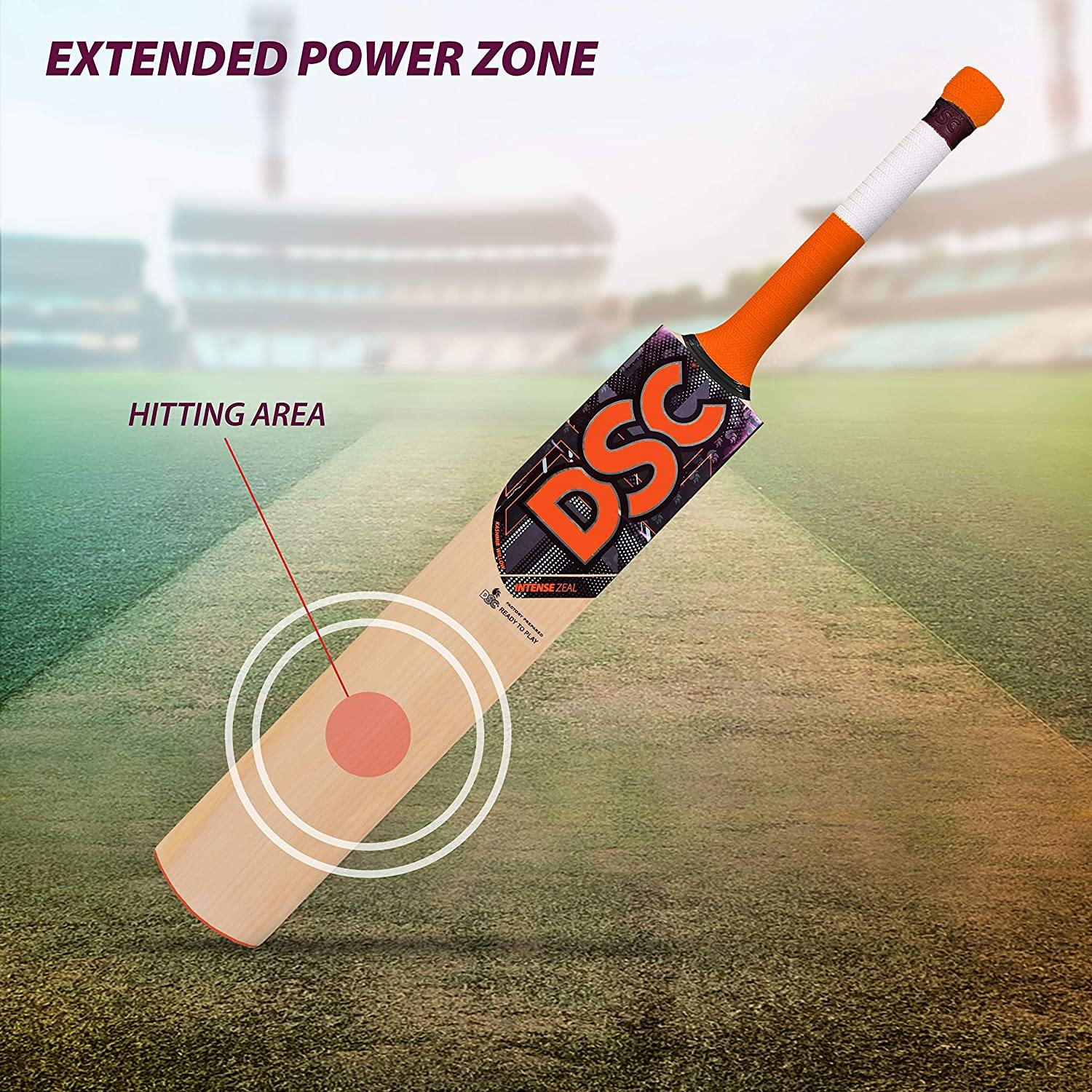 DSC Intense Zeal Kashmir Willow Cricket Bat - Best Price online Prokicksports.com