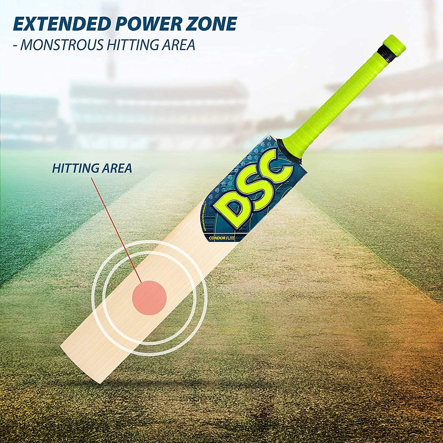 DSC Condor Flite English Willow Cricket Bat - Best Price online Prokicksports.com